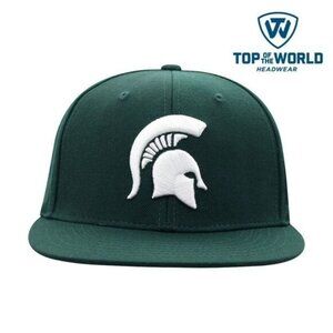 Unisex Top of the World Green Michigan State Spartans Team Color Fitted‎